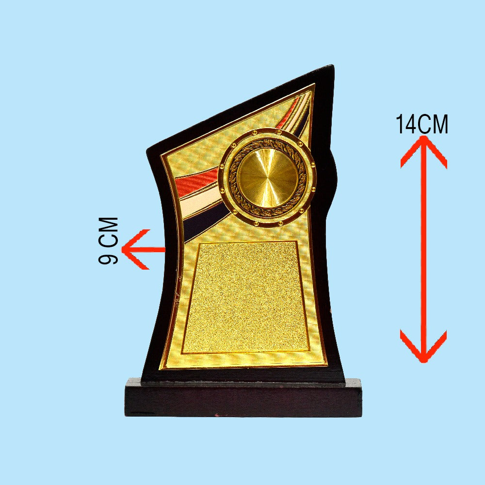 AWARD TROPHY  (9CM X 14CM)